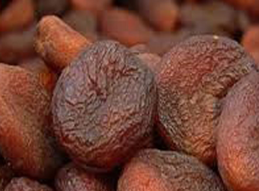 Natural Malatya Apricot